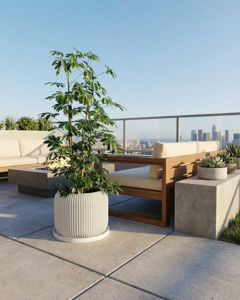 A white geometric planter pot with a green houseplant sits on a wooden table against a yellow wall.