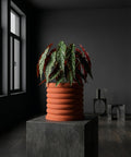 A begonia plant in an orange ribbed planter pot sits atop a gray concrete cube in a dimly lit room.
