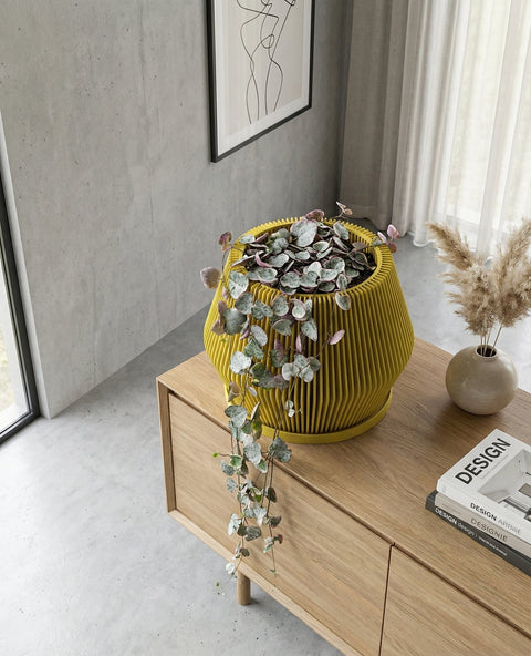 A yellow planter pot with a plant inside sits on top of a wooden cabinet. The planter pot has a unique vertical ribbed design. The plant has large, green leaves with white variegation. The background is a modern interior with a window and concrete wall.