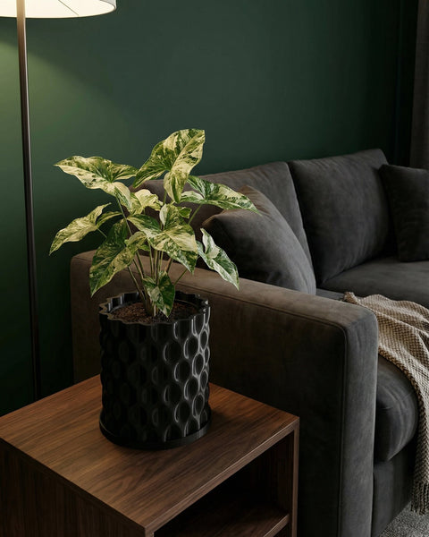 A black planter pot with a plant on a wooden table next to a gray couch. The planter pot has a unique, textured design.