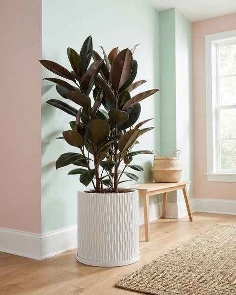A white planter pot with a polka dot plant sits on a round concrete table. A rug and bench are in the background.