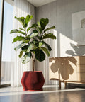 A red planter pot with a ribbed design sits on a light wood cabinet. A green plant with long, pointed leaves grows out of the pot. The background includes a window, a gray wall, a framed abstract print, and a floor lamp. A textured rug is partially visible in the foreground.