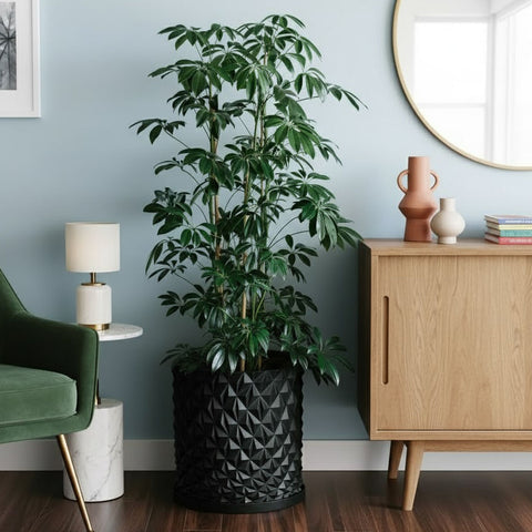 Charcoal Black Knurl