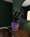 A purple planter pot with a plant inside sits on a wooden table, with a mirror and lamp nearby.