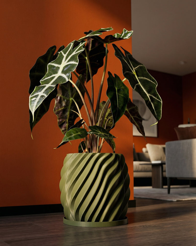 A potted Alocasia plant sits in a green, spiraled planter pot on a wooden floor against an orange wall. The pot is the main focus of the image.