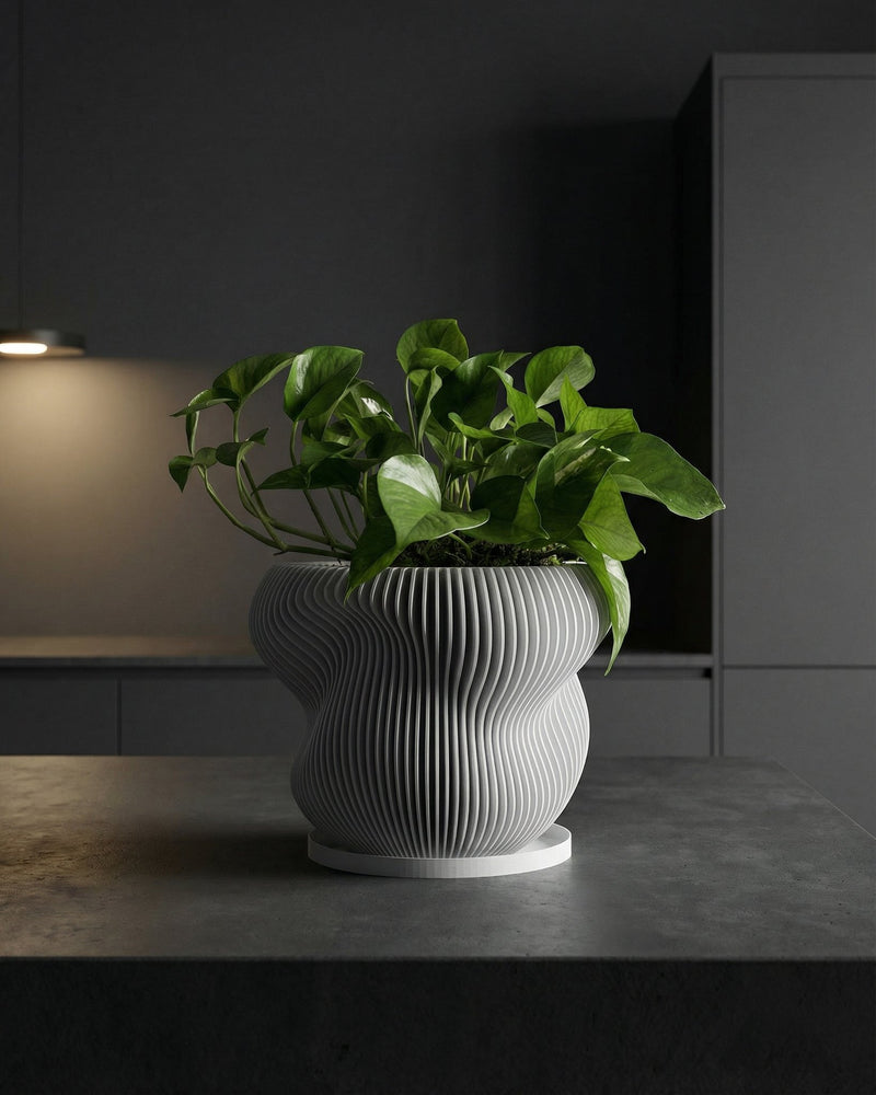 A spider plant sits in a gray, vertically-ribbed planter atop a light wood stand, against a gray wall with a framed print and sheer white curtains.