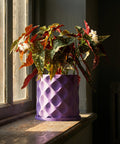 A begonia plant in a purple, geometric-patterned planter pot sits on a windowsill.