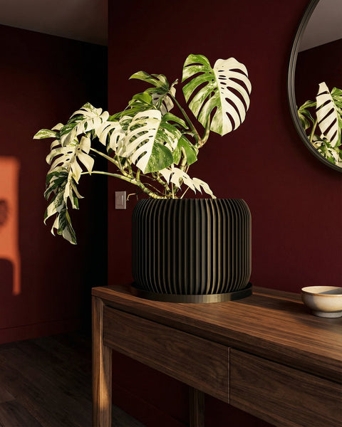 A black planter pot with a textured design sits on a woven rug in a blue room, holding a green plant.