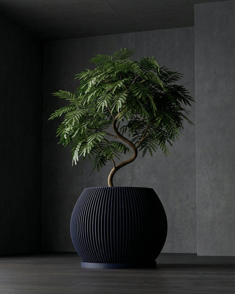 A black planter pot with vertical lines holds a small tree with green leaves in a dimly lit room.
