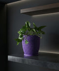 A purple planter pot with a green plant sits on a shelf in a dimly lit room.