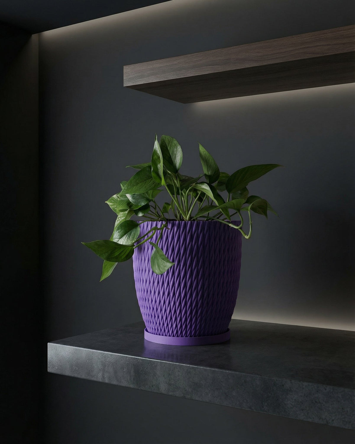 A purple planter pot with a green plant sits on a shelf in a dimly lit room.