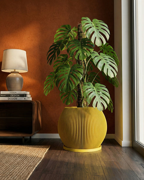 A monstera plant in a yellow, ribbed planter pot sits on a dark wood floor next to a window. A lamp and books are on a cabinet in the background.