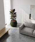 A green Anthurium plant in a green planter pot sits on a light-colored wooden table in a modern living room. The planter has a unique, vertically-lined design. A gray wall, a framed geometric print, and a chair are in the background.