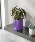 A purple planter pot with a plant on a wooden table. The pot has a textured design.