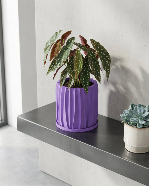 A purple planter pot with a plant on a wooden table. The pot has a textured design.