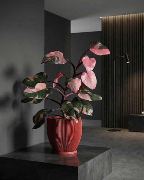 A red planter pot with a plant sits on a dark wooden bench in a room with dark green walls and a round gold mirror.