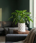A lush green plant sits in a white planter pot with a geometric design, placed on a wooden side table in a modern living room.