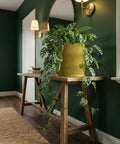 A yellow planter pot with a Monstera adansonii plant sits on a wooden table in a room with dark green walls.