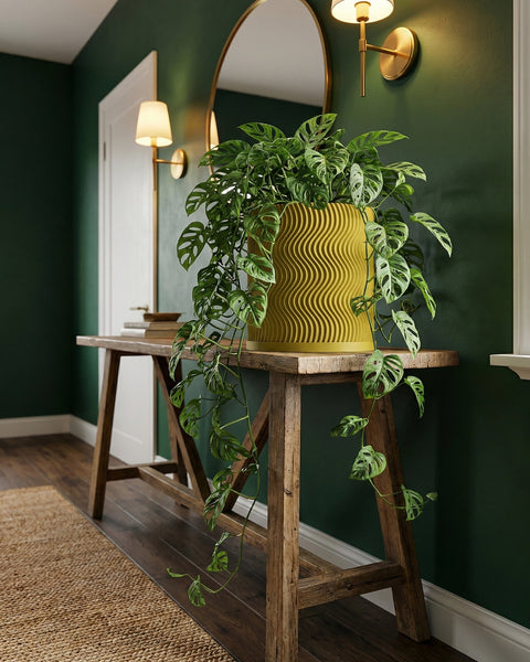 A yellow planter pot with a Monstera adansonii plant sits on a wooden table in a room with dark green walls.