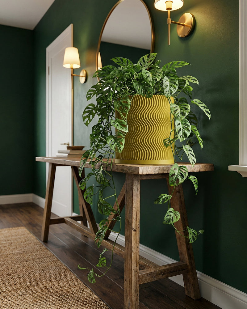 A yellow planter pot with a Monstera adansonii plant sits on a wooden table in a room with dark green walls.
