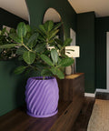 A purple planter pot with a green plant inside sits on a wooden cabinet in a room with dark green walls.