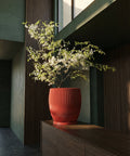 A red planter pot with a white flowering plant sits on a dark wood cabinet in a modern, minimalist room.