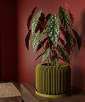 A yellow planter pot with a plant in it sits on a dark brown table next to a gray couch. The background is a dark brown wall.