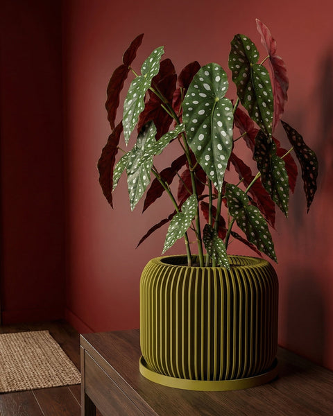 A yellow planter pot with a plant in it sits on a dark brown table next to a gray couch. The background is a dark brown wall.