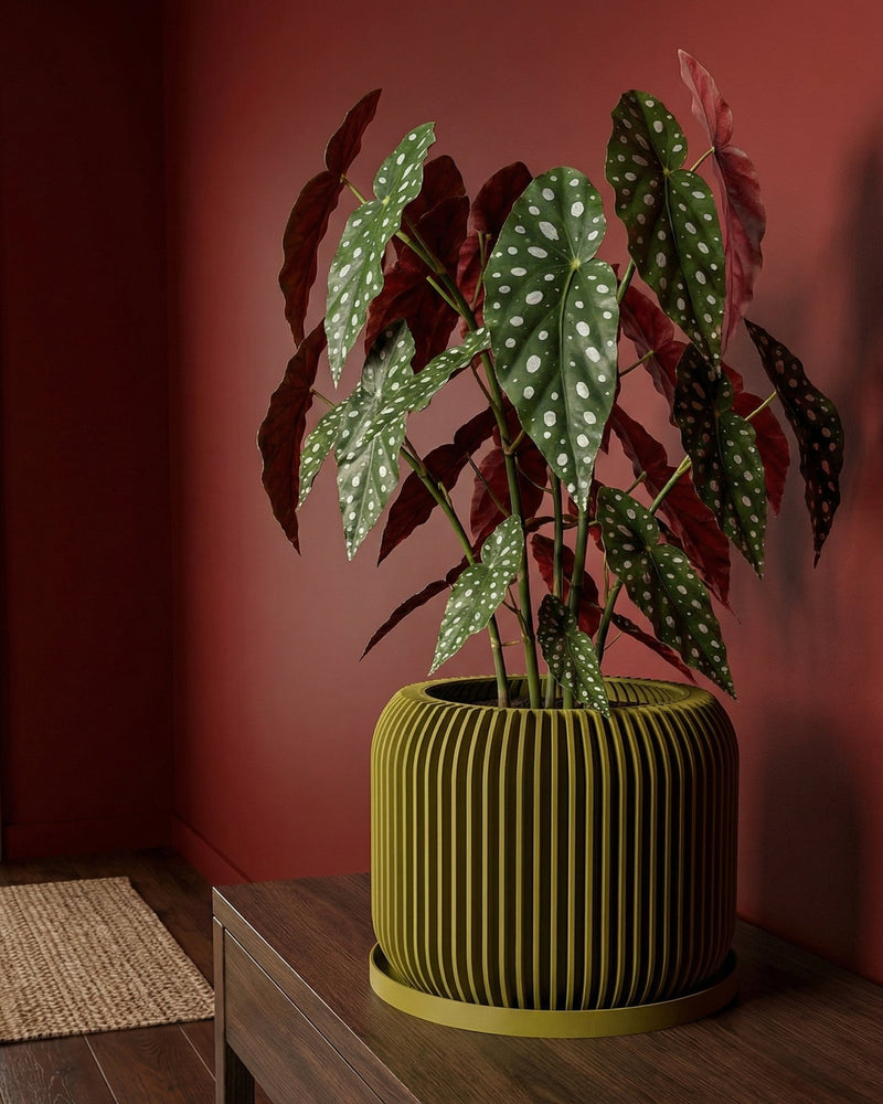 A yellow planter pot with a plant in it sits on a dark brown table next to a gray couch. The background is a dark brown wall.
