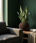 A snake plant in a brown, vertically-striped planter pot sits on a wooden table next to a gray couch.