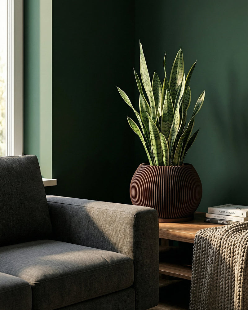 A snake plant in a brown, vertically-striped planter pot sits on a wooden table next to a gray couch.