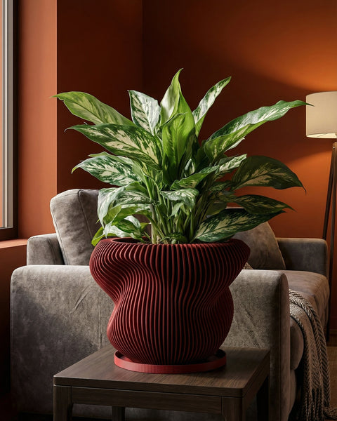 A red, ribbed planter pot sits on a dark gray pedestal, holding a plant with spotted leaves. A dark gray wall is in the background.