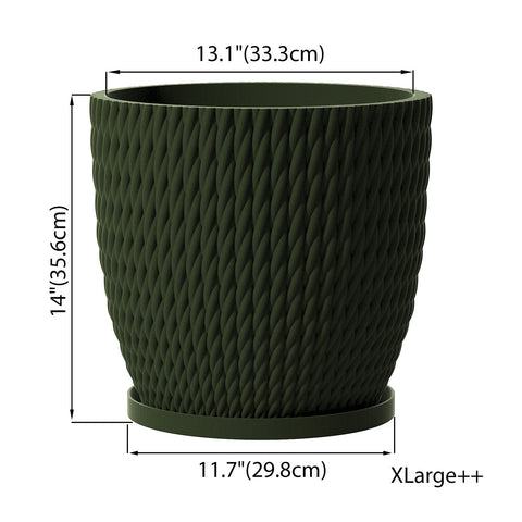 Avocado Green Vine