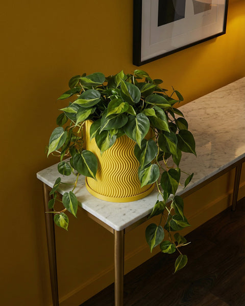 A Philodendron plant in a yellow, wavy-textured planter pot sits atop a marble-topped table with gold legs, against a yellow wall.
