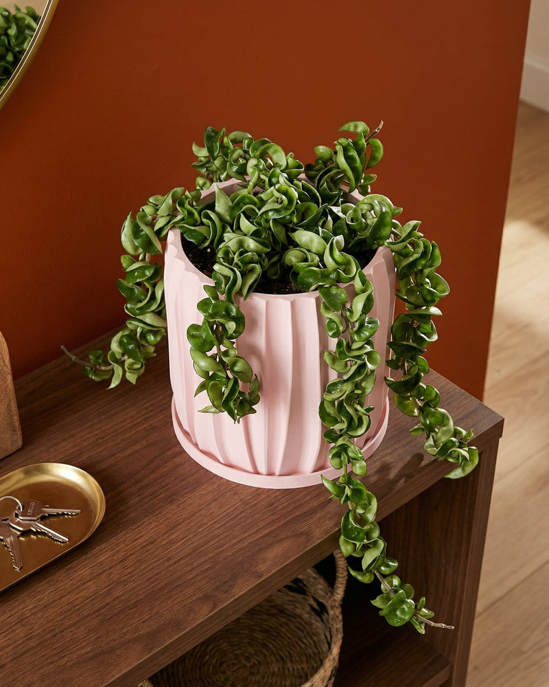 A pink planter pot with a rubber plant sits on a wooden cabinet in a green entryway with a round mirror on the wall.