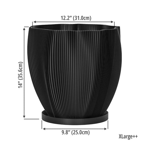 Charcoal Black Coconut