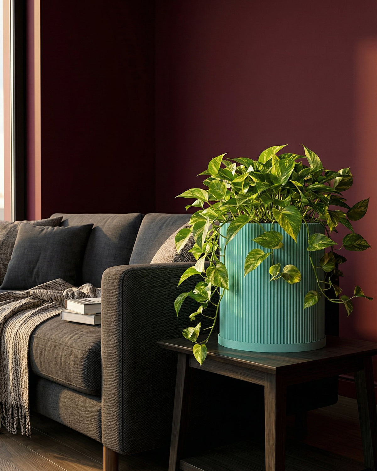 A green planter pot with a plant on a wooden table next to a gray couch with a blanket and books. The background is a maroon wall.
