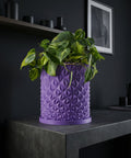 A purple planter pot with a geometric design sits on a gray surface, holding a green plant. A shelf and framed art are in the background.