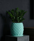 A ZZ plant in a light blue, spiraled planter pot sits atop a dark gray concrete stand against a dark gray wall.