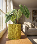 A vibrant yellow planter pot with a unique textured surface, holding a lush green plant, sits on a wooden surface near a sunlit window.