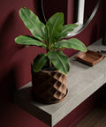 A brown geometric planter pot with a green banana plant sits on a gray shelf against a dark red wall.