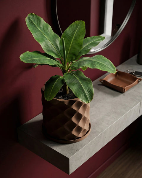 A brown geometric planter pot with a green banana plant sits on a gray shelf against a dark red wall.