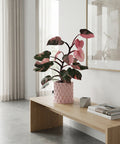 A pink planter pot with a plant on a wooden bench. The planter has a textured, geometric design.