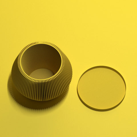 Lemon Yellow Echo