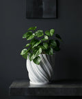 A Pilea peperomioides plant sits in a white, textured planter on a dark wooden side table next to a gray couch.