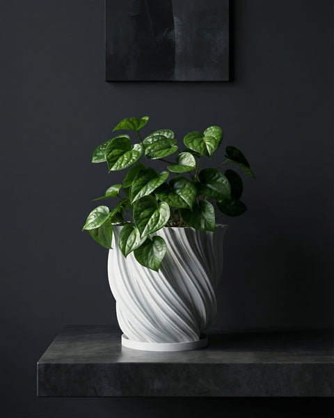 A Pilea peperomioides plant sits in a white, textured planter on a dark wooden side table next to a gray couch.