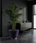 A vibrant purple planter pot holds a lush green palm plant, set against a dark, modern interior with a sleek cabinet and window blinds. The polished concrete floor reflects the ambient light, highlighting the pot's unique ribbed texture.
