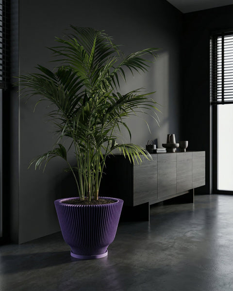 A vibrant purple planter pot holds a lush green palm plant, set against a dark, modern interior with a sleek cabinet and window blinds. The polished concrete floor reflects the ambient light, highlighting the pot's unique ribbed texture.