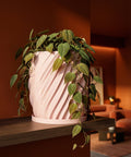 A pink planter pot with a green plant on a dark wooden shelf. The pot has a unique, textured design.