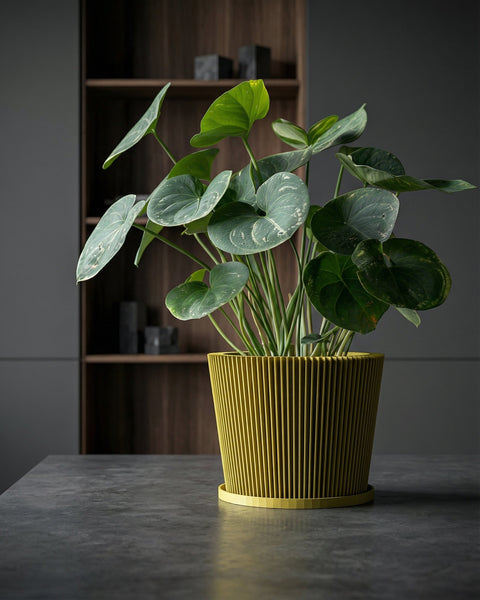 A yellow planter pot with a plant in it sits on a dark brown table next to a gray couch. The background is a dark brown wall.